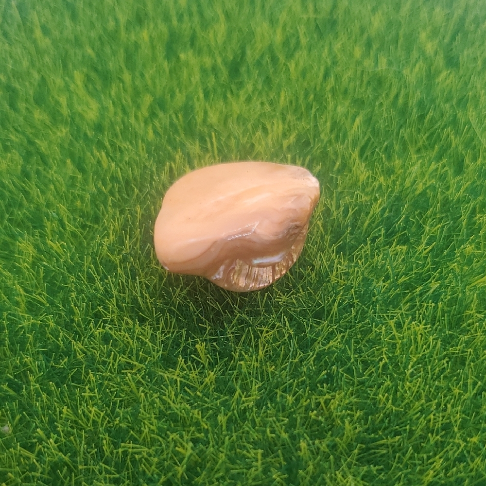 Caramel Melt Mother Of Pearl Bead P327